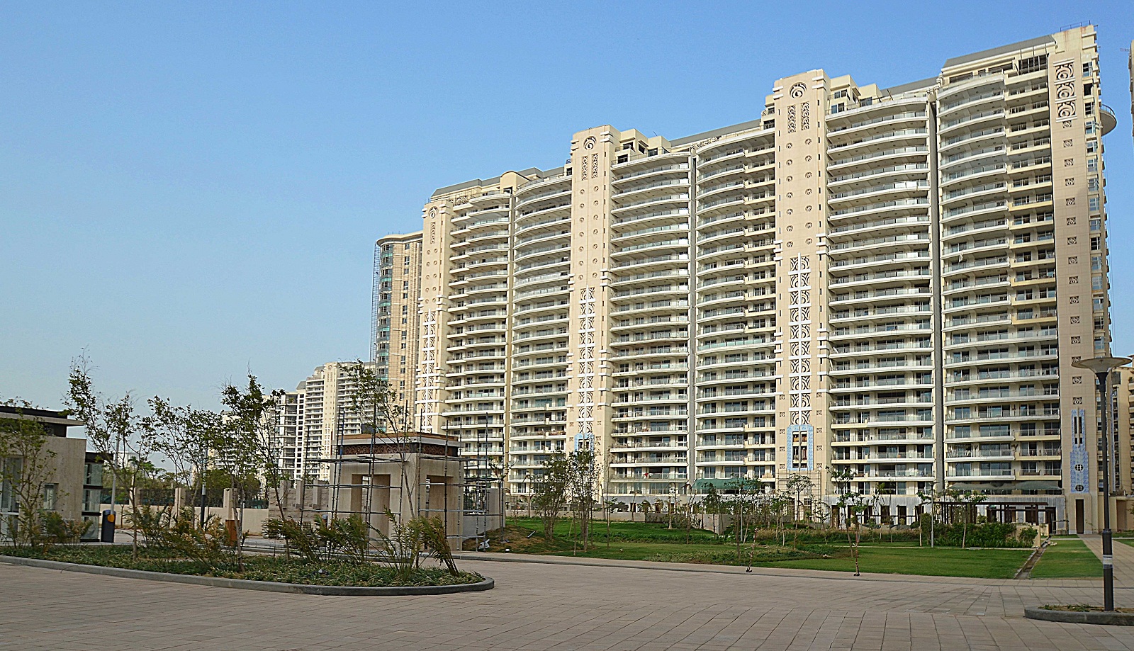 3-dlf-magnolias.jpg